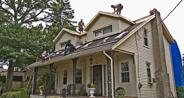 Best Residential Roofing Contractor  in Litchfield, MI